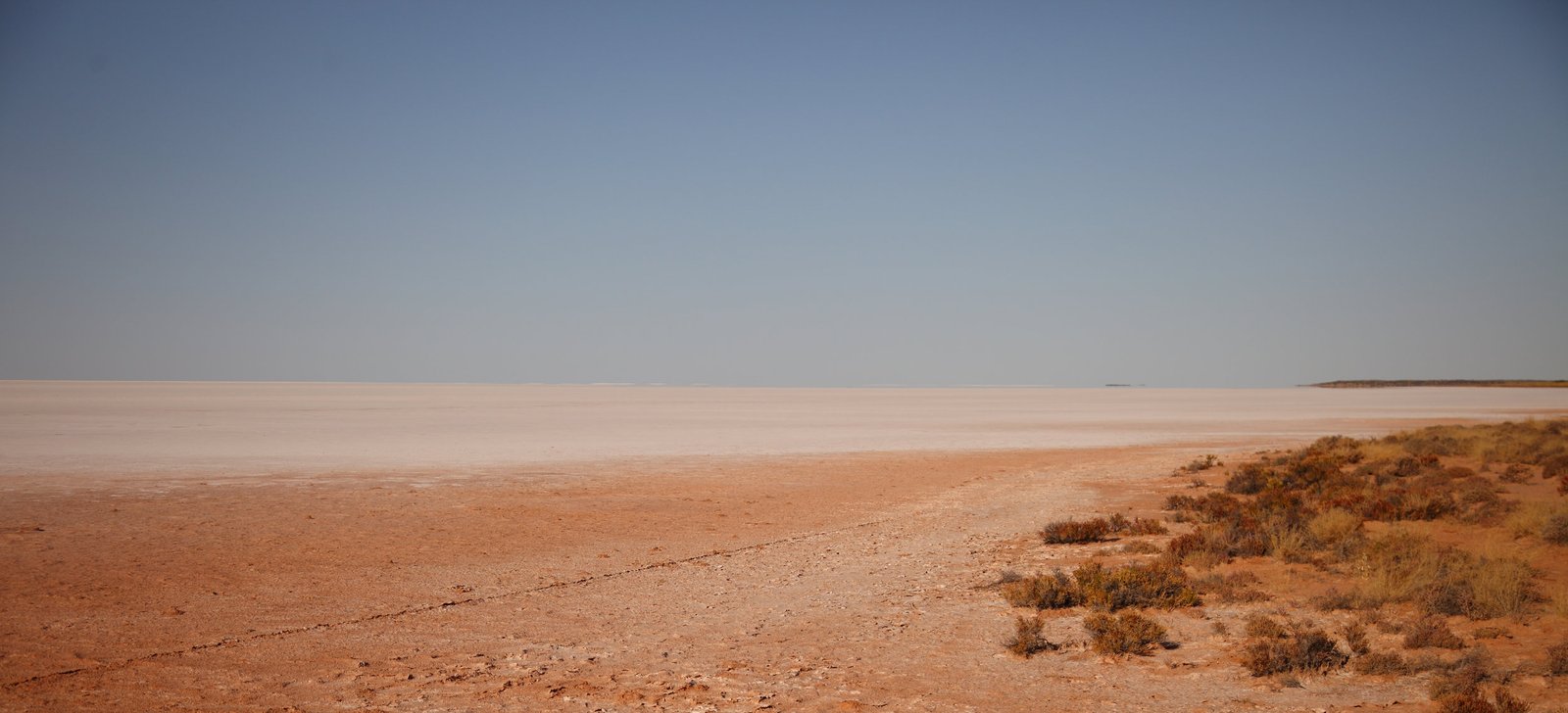 Lake Mackay in NT/WA. Spinifex and samphire in abundance. The mind boggles.