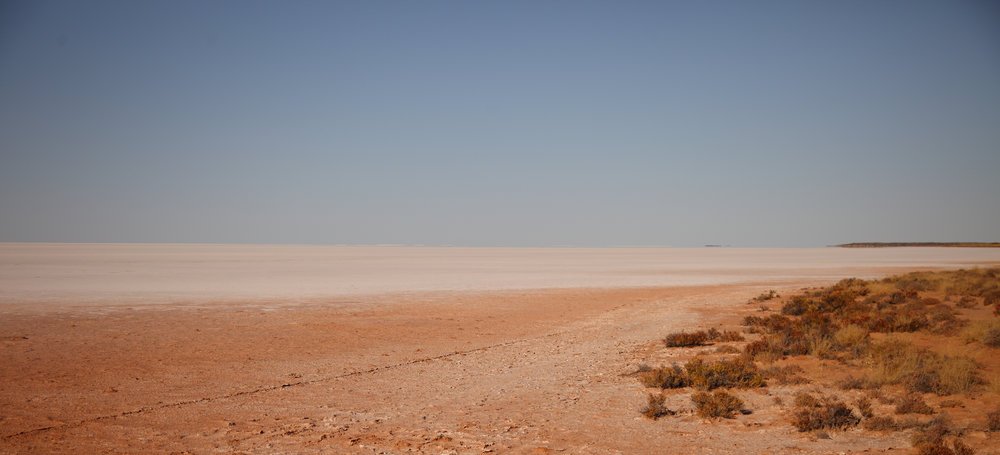 Lake Mackay in NT/WA. Spinifex and samphire in abundance. The mind boggles.
