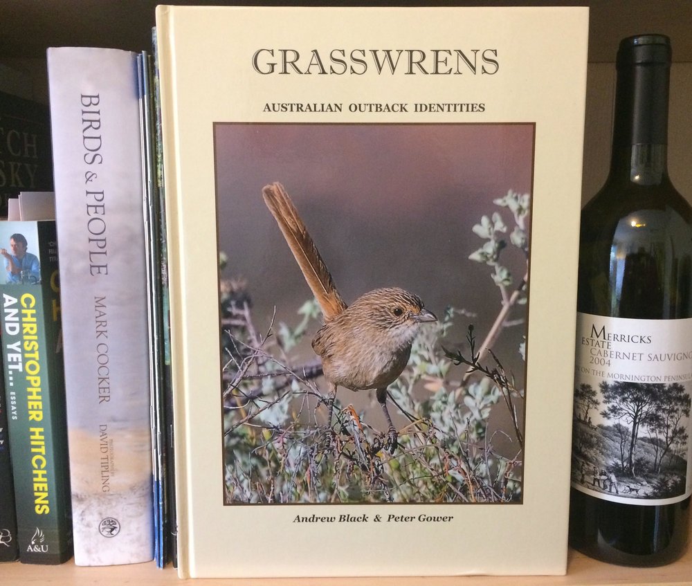 grasswrens aoidentities.jpg