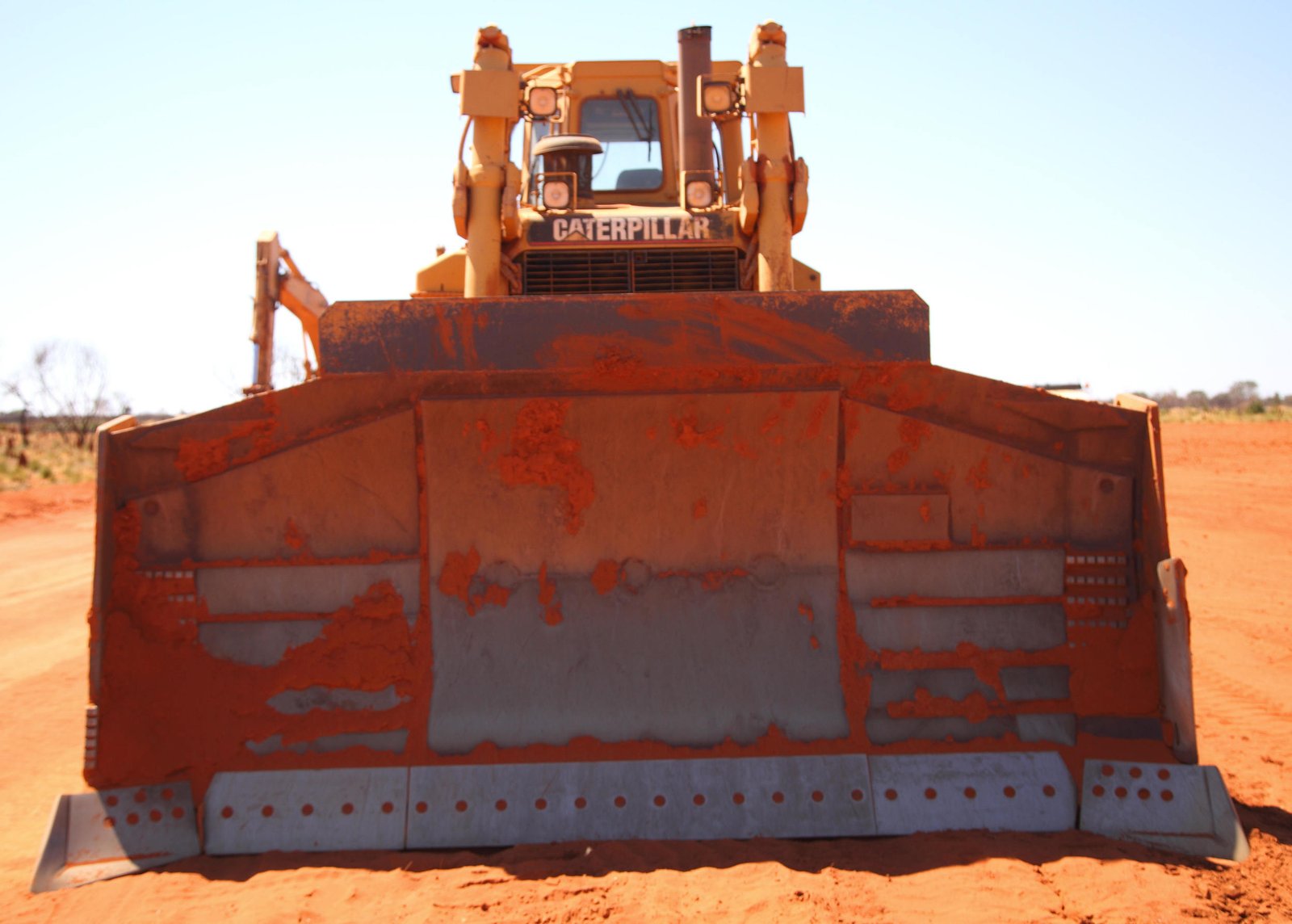 Bulldozers: an  actual  threat to bird conservation