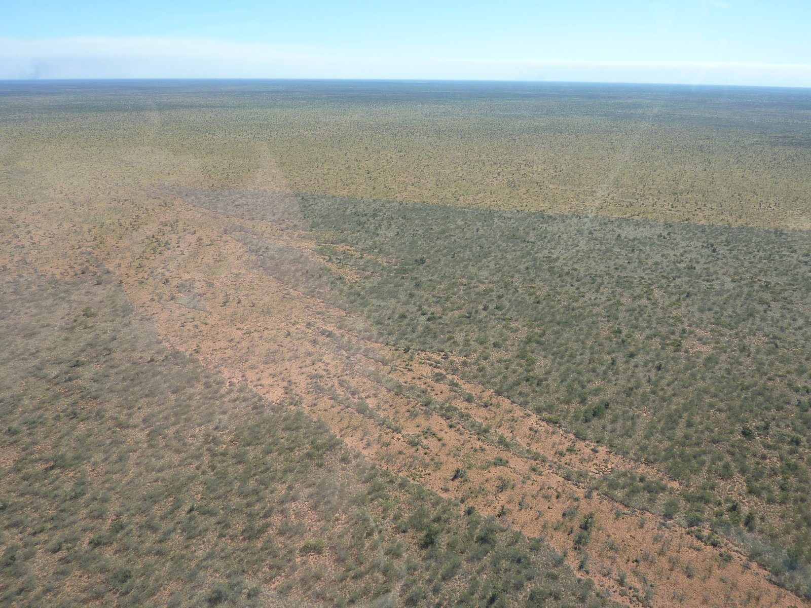 The Wakaya Desert is a landscape of extensive native grasslands with immense fire scars, ephemeral swamps, chenopod, and gibber.&nbsp;