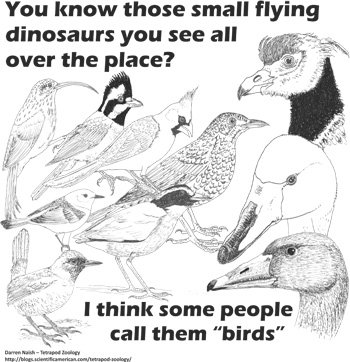 UK-based zoologist and author Darren Naish does a good line in t-shirt designs spreading the word. All the coolest birders buy them online at the  Tet Zoo Red Bubble store &nbsp;- image by Darren Naish