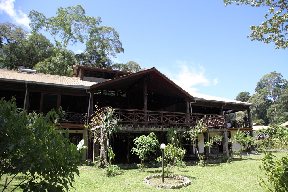 Danum Valley 05.jpg