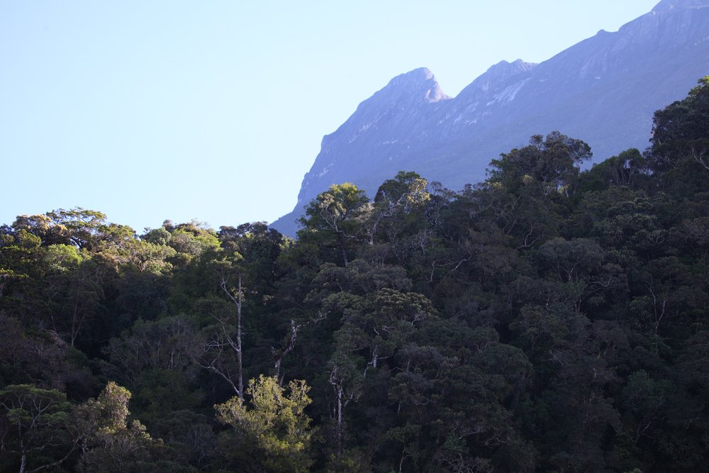 Mount Kinabalu 05.jpg