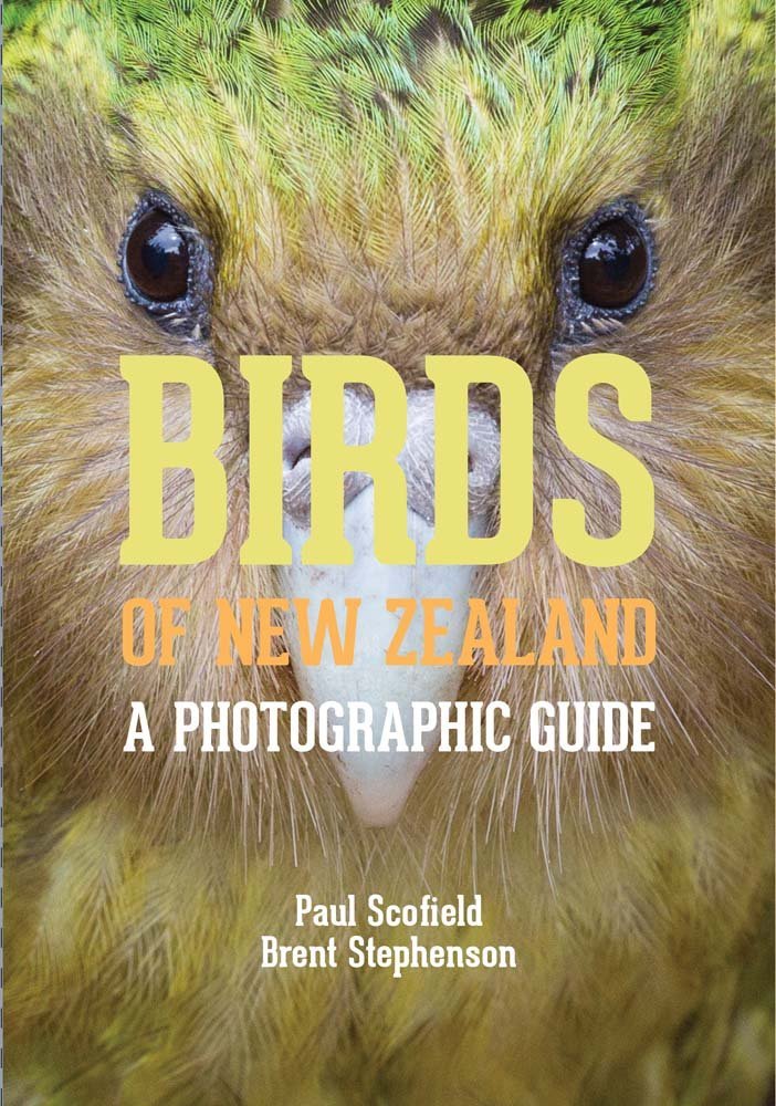 With a cover image like this, you know good things will be within